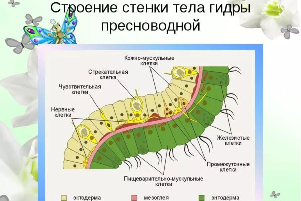 Как зайти на площадку кракен