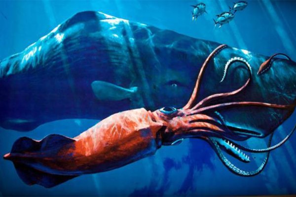 Kraken market зеркала