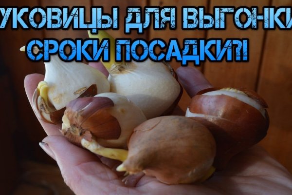 Пользователь не найден кракен что делать