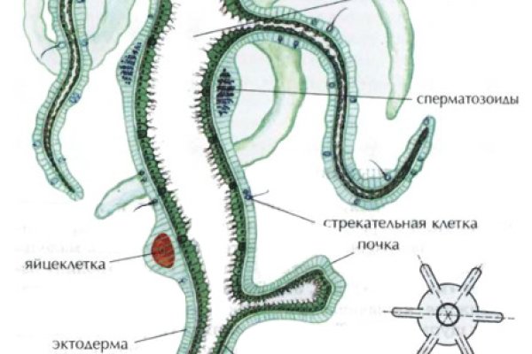 Кракен портал