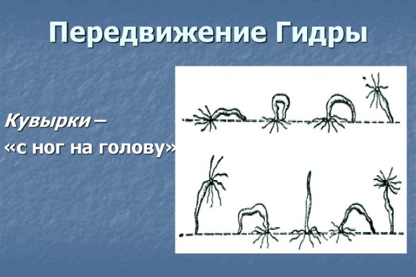 Как войти в кракен