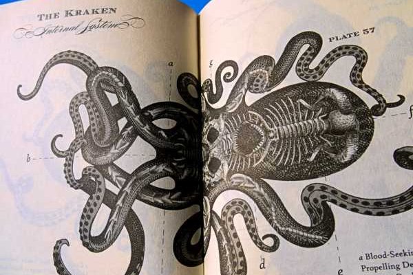 Кракен сс