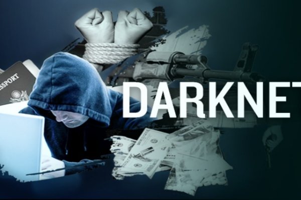 Kraken dark
