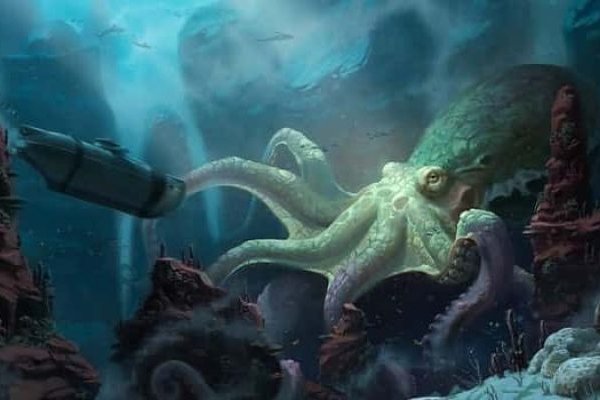 Kraken 23 at