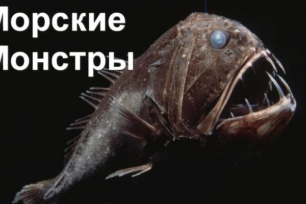 Тор браузер кракен