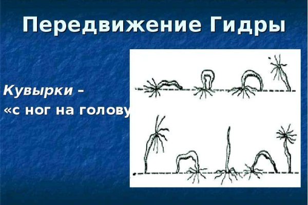Кракен сегодня сайт зеркало